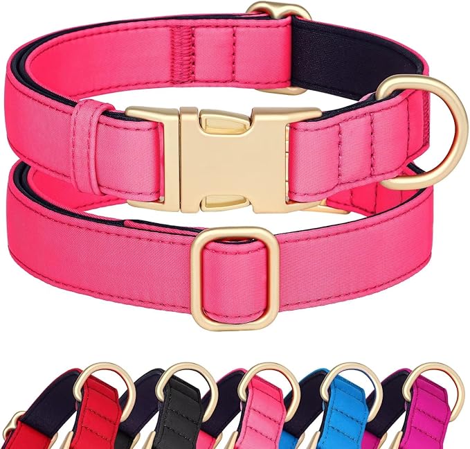 Didog Soft Padded Dog Collars for Small Dogs, Cute Pink Pet Collar with Quick Release Buckle, Light and Breathable for Girl Dogs Daily Walking,Pink,S(Neck:10-15")