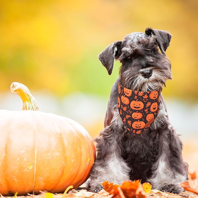 ADOGGYGO Halloween Dog Bandana, Pumpkin Ghost Pet Scarf, Orange Black Halloween Bandanas for Small Dogs Puppies (Small)