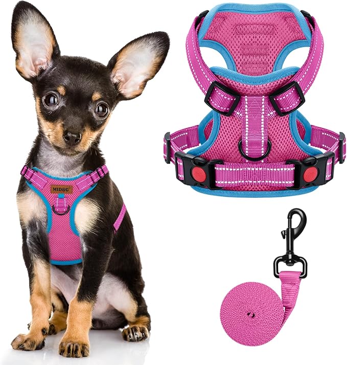 MIDOG No-Pull Dog Harness | Adjustable & Reflective Pet Harness Leash Set for Small Medium Large Dogs Walking, Training| No Choke, Front Clip, Soft Padded Vest with Easy Control Handle - Pink, XS