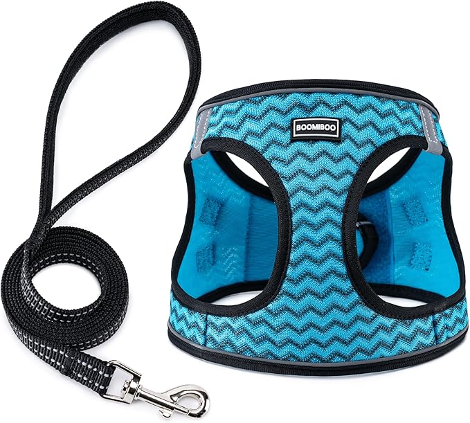 Dog Harness with Leash Set, No Pull Adjustable Reflective Step-in Puppy Pet Vest Harnesses for Small Medium Large Dogs and Cats,Blue Stripe XL