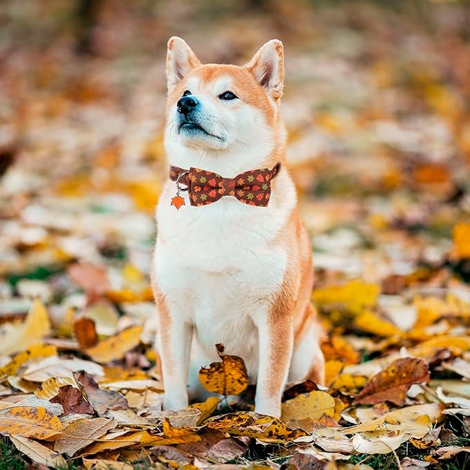 ADOGGYGO Fall Dog Collar with Bowtie, Adjustable, Brown, Maple Leaves Pattern, Halloween Thanksgiving Fall Bow Collars for Small Medium Large Dogs (Medium)
