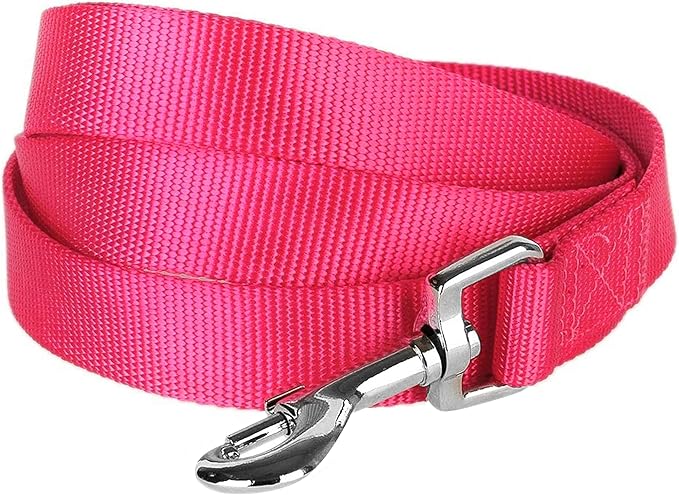 Blueberry Pet Essentials 19 Colors Durable Classic Dog Leash 5 ft x 3/8", French Pink, X-Small, Basic Nylon Leashes for Puppies