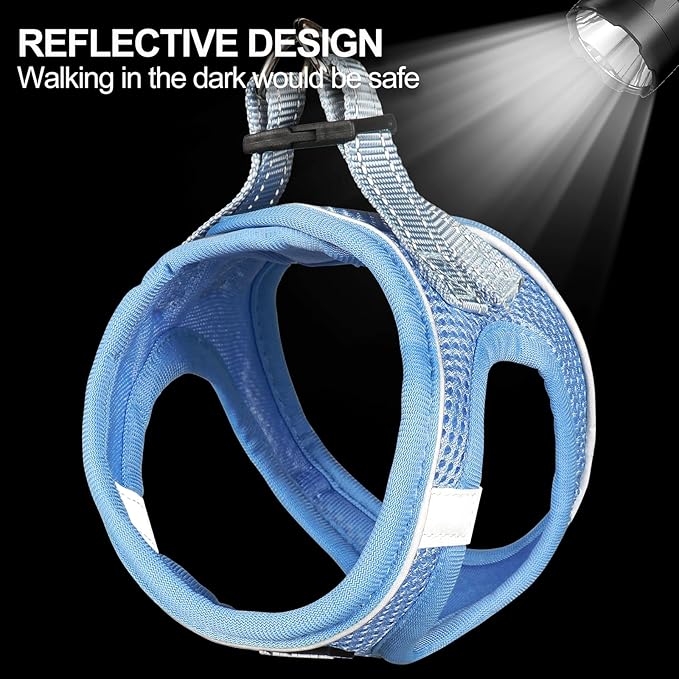 Dog Harness for Small Dogs and Leash Set, Honeycomb Grid, Reflective Lightweight Harness & Anti-Twist Pet Lead Multi Color, Size: XS-S-M. (M, Aqua Blue)