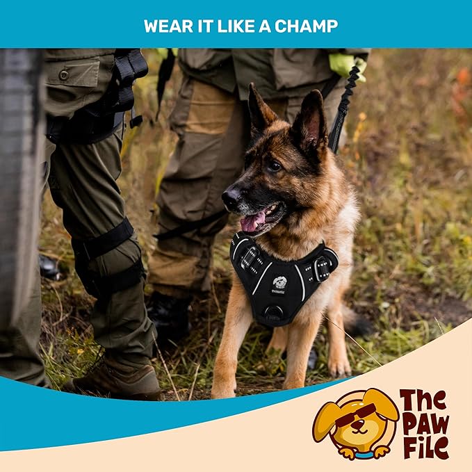 Dog Harness and Leash Set - No Pull Vest & Reflective Leash with Foam Handle, Adjustable Oxford Halter, for Walking & Training - Includes 150 Poop Bags & Bone-Shaped Dispenser - Black, L