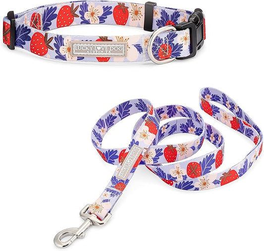 Lucky Love Dog - Easy Click Buckle Dog Collar with Leash Set Combo, Durable & Comfortable for Male & Female Dogs, Pet Collar for Small to Large Dogs, Secure Fit - Sweet Berry Combo, XS