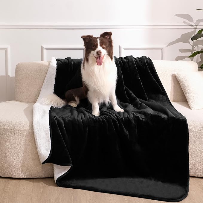 gogobunny Waterproof Bed Blanket, Reversible Sherpa Fleece Throw Blanket for Dog Puppy Cat, Furniture Cover Protects Bed Couch Sofa from Liquid Pee and Pet Fur (Black, 50x60 inches)
