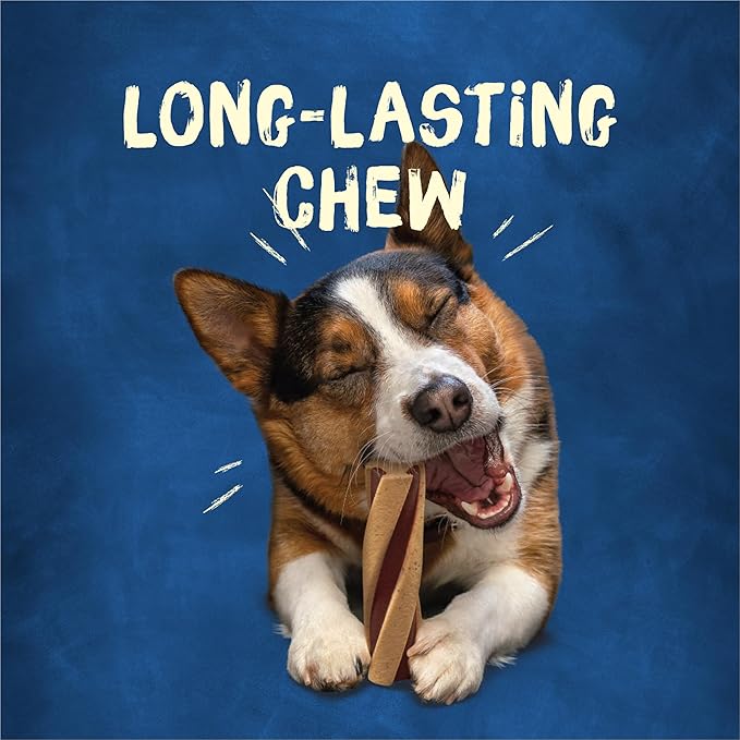 Purina Busy With Beggin' Made in USA Facilities Small/Medium Breed Dog Treats, Twist'd - (Pack of 6) 2 ct. Pouches