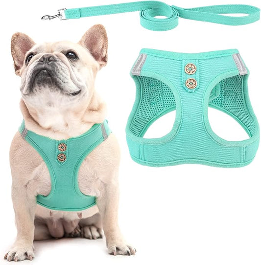 PUPTECK Dog Harness and Leash Set for Small Medium Dogs No Pull Step-in Soft Mesh Puppy Cat Vest Harnesses Reflective at Night, Denim Green M