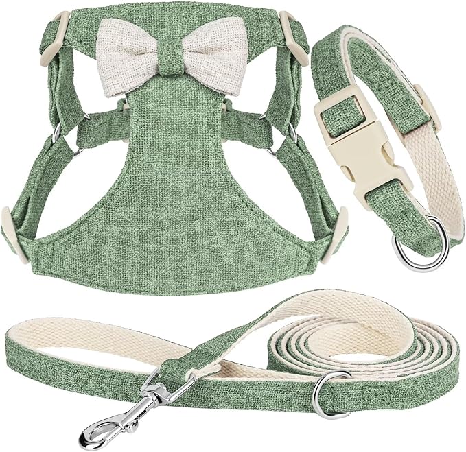 Didog Small Dog Harness Collar and Leash Set, Adjustable Lightweight Vest Harness with Cotton Soft Mesh for Small Dogs, Cats (Green, S)