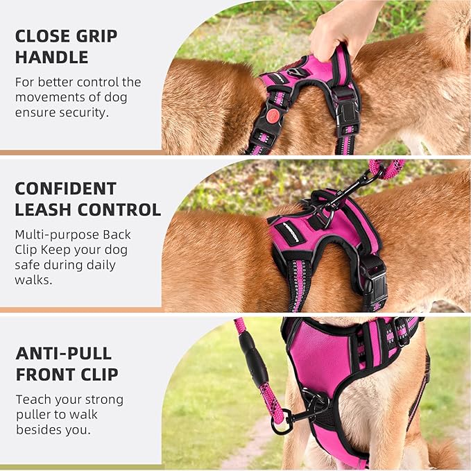 No Pull Dog Harness with A Free Heavy Duty 5ft Dog Leash, Adjustable Soft Padded Dog Vest, Reflective No-Choke Pet Oxford Vest with Easy Control Handle and Dog Leash for Dogs (Pink, X-Large)