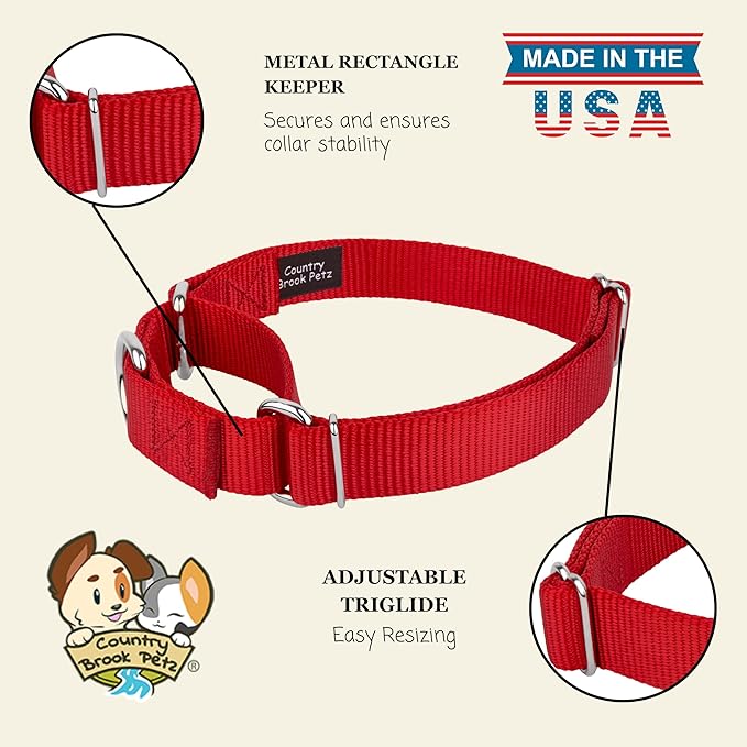 Country Brook Petz Martingale Dog Collar - Heavy-Duty Training Collar with No Buckle - Service Dog Collar for All Pups - Vibrant, Colorful Collection (Red, 1 Inch, Large)