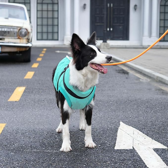 Dog Jacket with Harness,Fleece Lined Warm Puppy Coat for Winter,Soft Windproof Medium Dog Vest,Bluegreen L