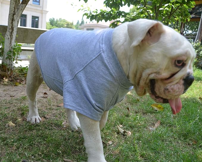 Lovelonglong Bulldog Clothes Dog Clothing Blank T-Shirt Tee Shirts for French Bulldog English Bulldog American Pit Bull Pugs 100% Cotton Skin Care Gray B-XL
