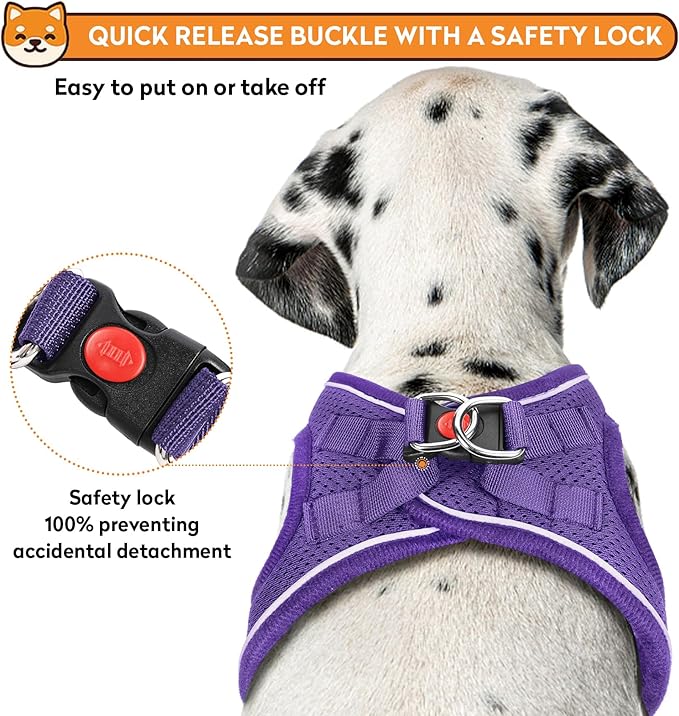 Dog Harness with Leash Set, No-Pull Step-in Reflective Pet Harness with 1 Leash Clips, Adjustable Soft Padded Easy Walk Dog Vest for Small Medium Large Dogs, Cats(Light Purple, XXXSmall)