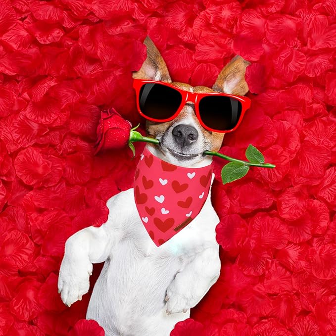 ADOGGYGO Valentine Dog Bandana, Heart and Love Pet Scarf, Premium Durable Fabric, Red Pink Valentine Bandanas for Medium Large Dogs (Large)