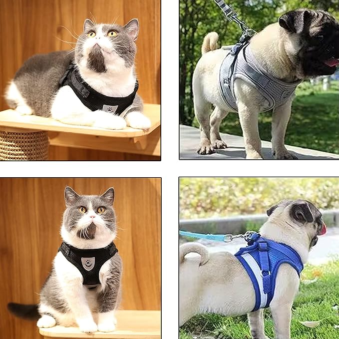 Step in Dog Harness and Leash Set,Reflective Adjustable Soft Mesh Breathable Pet Vest Dog Harnesses Set, No Chock No Pull Padded Puppy Harnesses for Small Dogs and Cats (Black, Large)