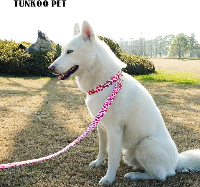Tunkoo Valentine's Day Dog Collar, Cute Adjustable Heart Collar for Boy and Girl Dogs, Dog Collar with Strong Plastic Buckle - for Small Medium Large Pets, S