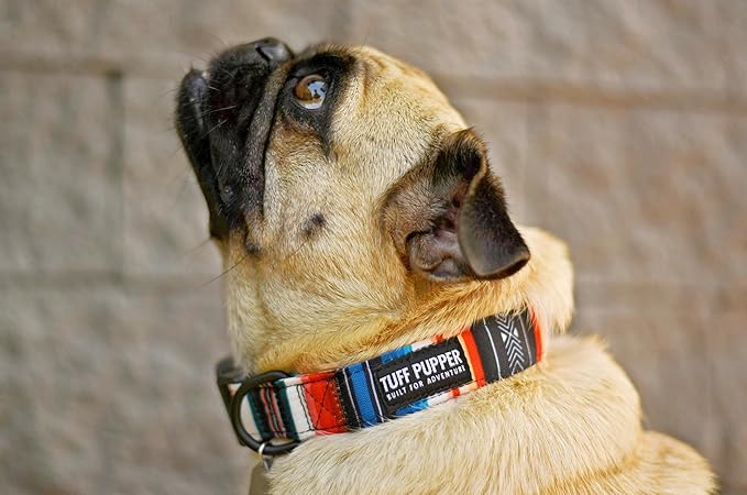 Tuff Pupper Premium Adjustable Dog Collar for Extra Large Boy & Girl Dogs, Stylish Pattern Collars Designed in USA, Quick Release Buckle, SacredTribe Print, XL (1.25 Inch Wide x 20-30 Inch Neck)