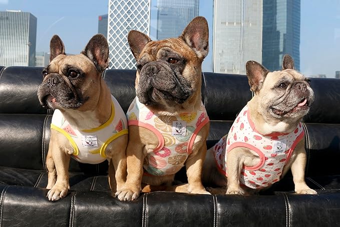 iChoue 2pcs French Bulldog Fruits Pattern Shirts 100% Breathable Cotton Tank Tops Vests Clothes for Frenchie Dogs, Donuts and Strawberry, Large