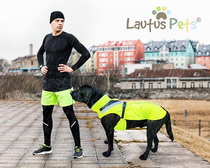 Dog Rain Coat - Waterproof, Reflective, Bright Yellow with Harness Hole (XL, Yellow)