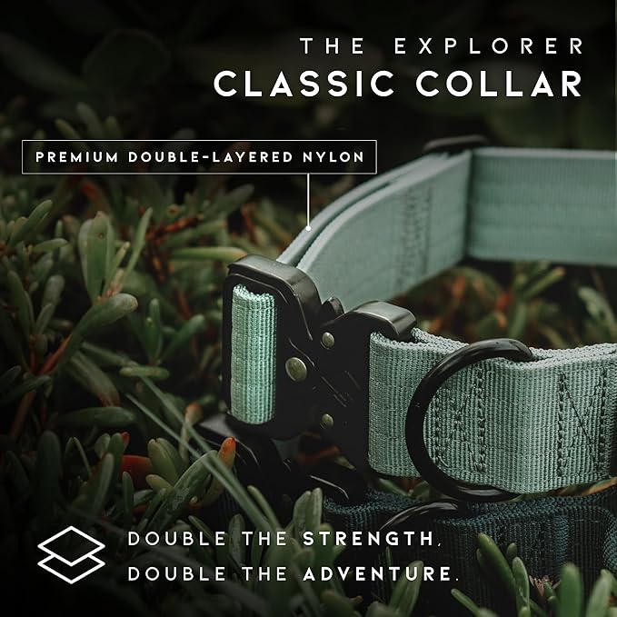 Made to ROAM Premium Dog Collar - Adjustable Heavy Duty Nylon Collar with Quick-Release Metal Buckle (Maine Marina, Classic Size 1)