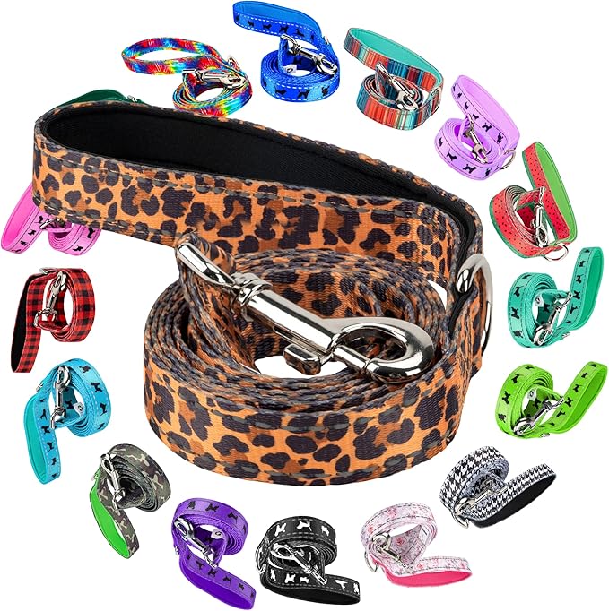 EcoBark Dog Leash - 4 FT / 5 FT / 6 FT Reflective Dog Leash- Eco-Bright Dog Leashes with Padded Handle - Strong Heavy Duty Dog Leash - Nylon Dog Leash for Medium and Large Dogs (Cheetah Dog Leash)