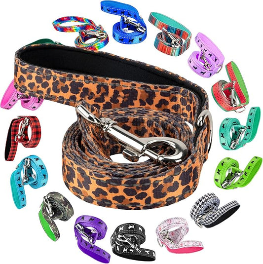 EcoBark Dog Leash - 4 FT / 5 FT / 6 FT Reflective Dog Leash- Eco-Bright Dog Leashes with Padded Handle - Strong Heavy Duty Dog Leash - Nylon Dog Leash for Medium and Large Dogs (Cheetah Dog Leash)