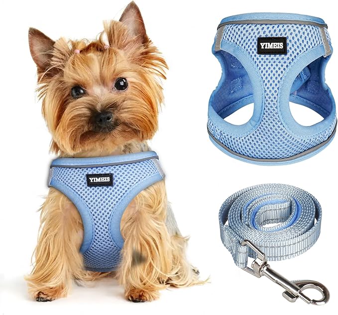 Dog Harness for Small Dogs and Leash Set, Honeycomb Grid, Reflective Lightweight Harness & Anti-Twist Pet Lead Multi Color, Size: XS-S-M. (XS, Aqua Blue)