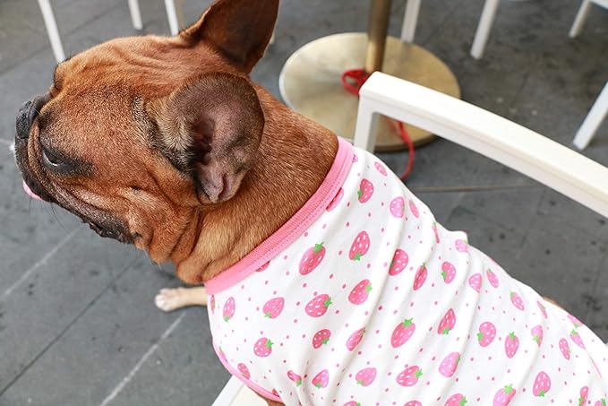 iChoue 100% Breathable Cotton English Bulldog Halloween Cartoon T Shirts Cute Clothes for Medium Large Dogs Vest Tank Tops Terrier Pitbull Strawberry - XXLarge