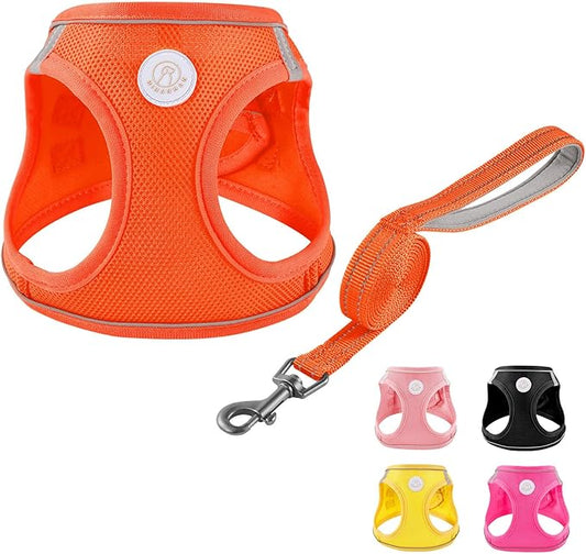 Soft Mesh Dog Harness and Leash Set, No Pull Puppy Harness and Leash Set, Reflective Step in Harness for Small Medium Dogs, Easy Walk Escape Proof Vest Harnesses (Orange, M)
