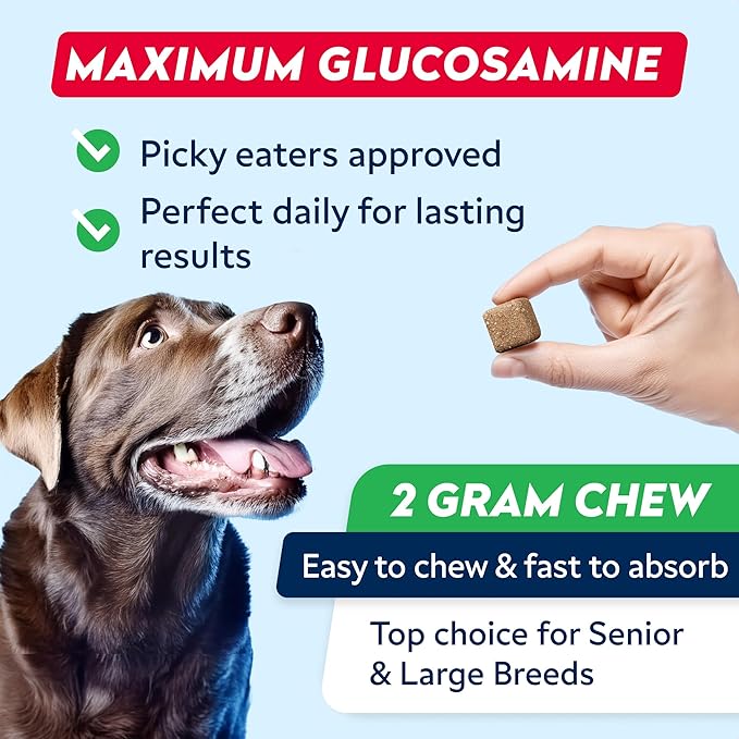 Advanced Glucosamine Chondroitin Joint Supplement for Dogs - Hip & Joint Pain Relief Pills - Green Lipped Mussel & Collagen - Large & Small Breed - Senior Dogs Joint Health - Bacon Flavor - 120Ct