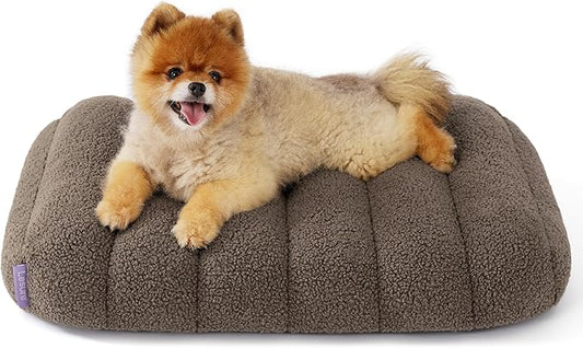 Lesure Cute Orthopedic Dog Bed for Small Dogs, Waterproof Chic Flat Pet Beds with Removable Washable Cover, Fuzzy Thick Egg Crate Foam Pet Mat for Indoor Use (24" x 18", Brown)