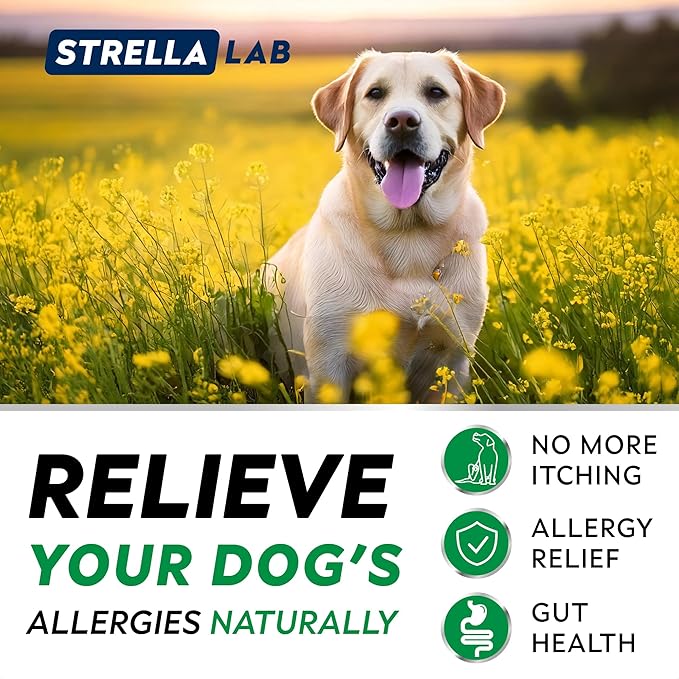 STRELLALAB Dog Allergy Relief & Anti Itch Support Chews w/Omega 3: Real Ingredients, Real Taste! Skin & Coat Immune Supplement w/Fish Oil, Pumpkin & Enzymes - Made in USA - 9.3 oz