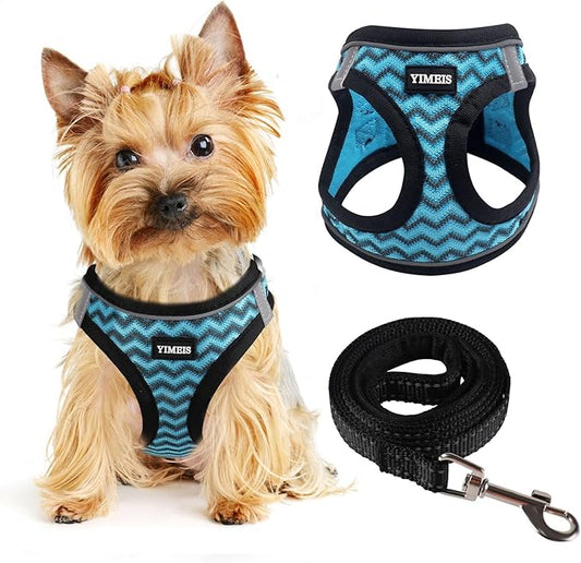 Dog Harness for Small Dogs and Leash Set, Honeycomb Grid, Reflective Lightweight Harness & Anti-Twist Pet Lead (Multi Color, Size: XS-S-M) (S, Blue)