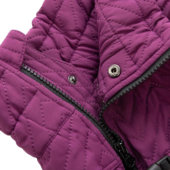 Lovelonglong Warm Dog Coat, Double Layers Vest, 4 Legs Covered Windproof Waterproof Reflective Outdoor Skating Costume for Corgis Dachshund, Purple, Size D-S