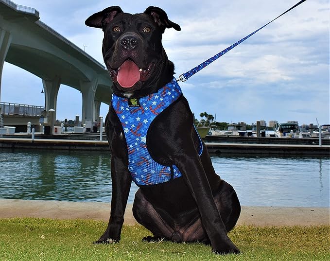 Classic Dog Harness Innovative Mesh No Pull No Choke Design Soft Double Padded Breathable Vest for Eco-Friendly Easy Control Walking Large Puppies Full Size Breeds & Extra Large Dogs (XXL, Nautical)