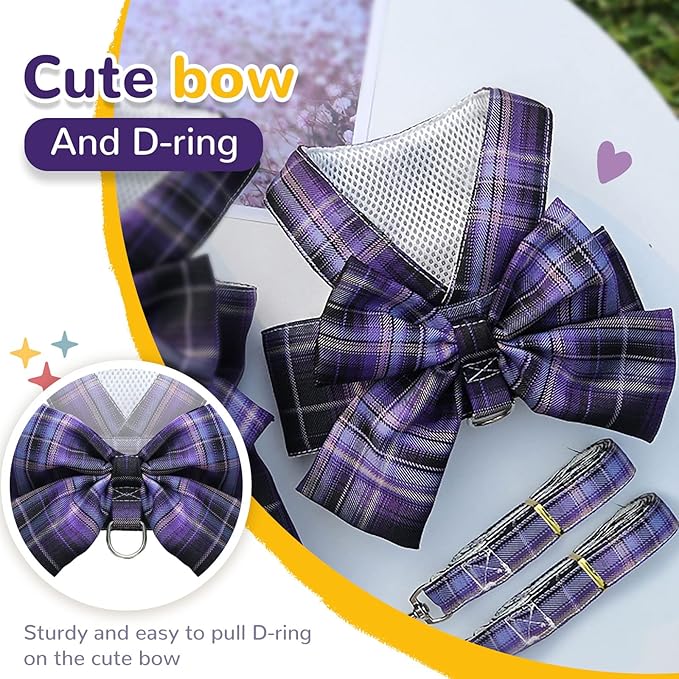 Small Dog Harness with D-Ring, Soft Mesh, Adjustable - Set Includes Harness and Leash