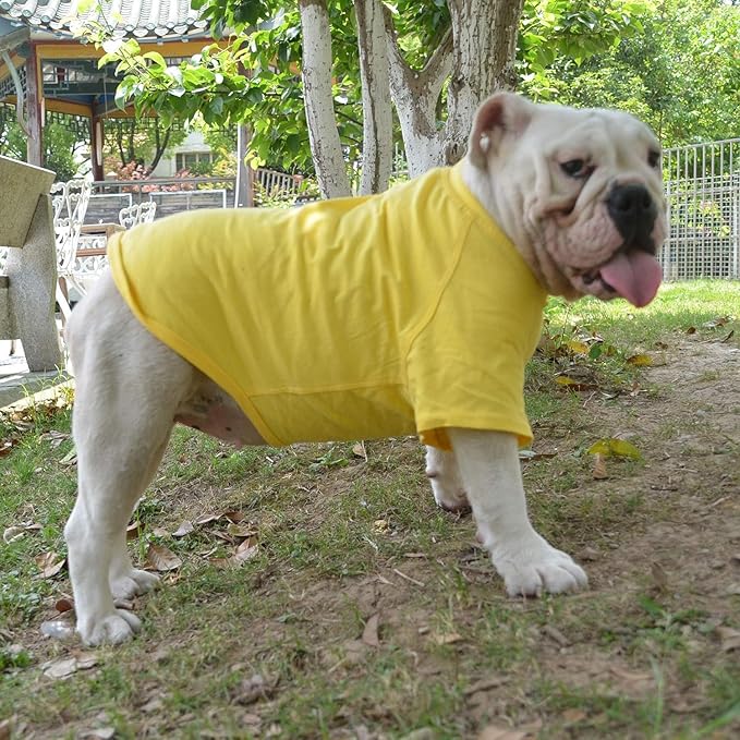 Lovelonglong Bulldog Clothes Dog Clothing Blank T-Shirt Tee Shirts for French Bulldog English Bulldog American Pit Bull Pugs 100% Cotton Skin Care Yellow B-M