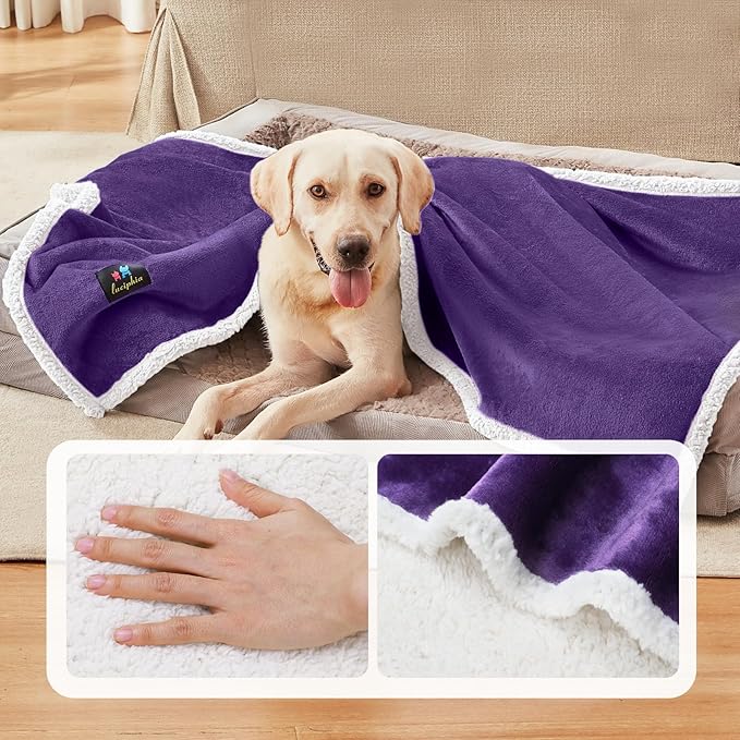 Luciphia Waterproof Blanket for Large Dogs Liquid Proof Furniture Protector Washable Pet Reversible Bed Cover for Couch Soft Sherpa Fleece Cat Blanket for Small Medium Purple White Medium（57" x 40"）