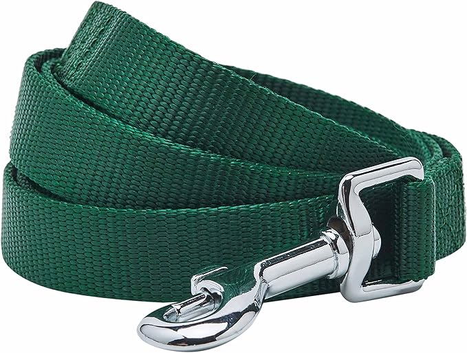 Blueberry Pet Essentials Durable Classic Dog Leash | Basic Nylon Dog Leash | 4ft. x 1" Large Dog Leash | Verdant Green Dog Leash | Standard Dog Leashes & Lightweight Dog Leash for Training