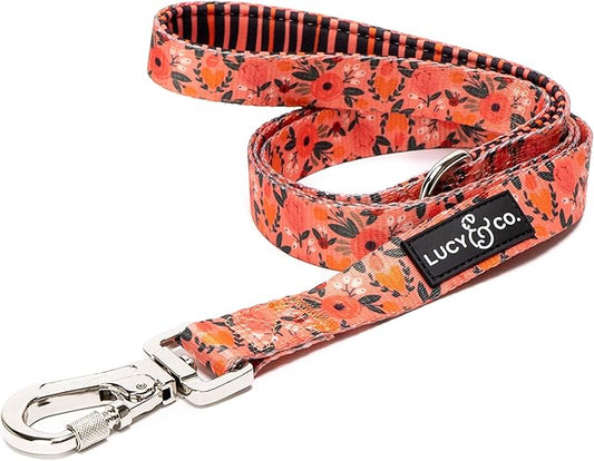 Lucy & Co. 5 Foot Designer Dog Leash – Puppy Leash – Pet Accessories & Supplies (Posy Pink, Large)