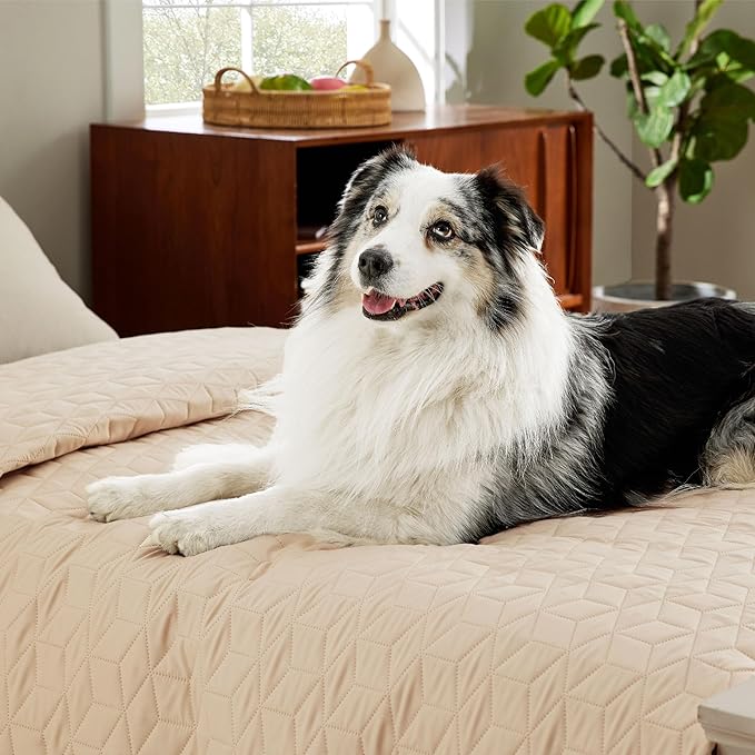 Bedsure 100% Waterproof Couch Cover for Dogs Washable - Non Slip Waterproof Dog Blanket for Bed, Lightweight Furniture Protector Durable for Pet Cat Puppy with Non-Slip Bottom, Beige, 82x120IN