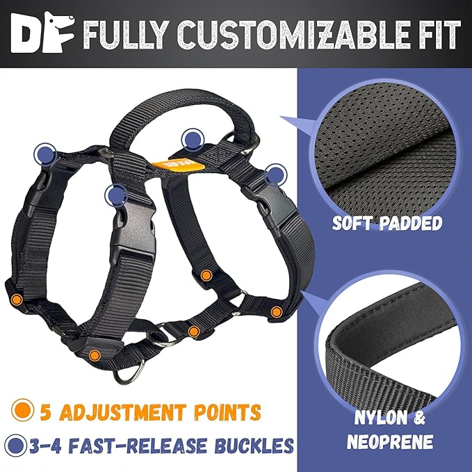 DF Martingale No Pull Dog Harness and Two Point Control Training Leash for Dog Walking Only Works with Martingale Harnesses, Black, Chest 19"-22"