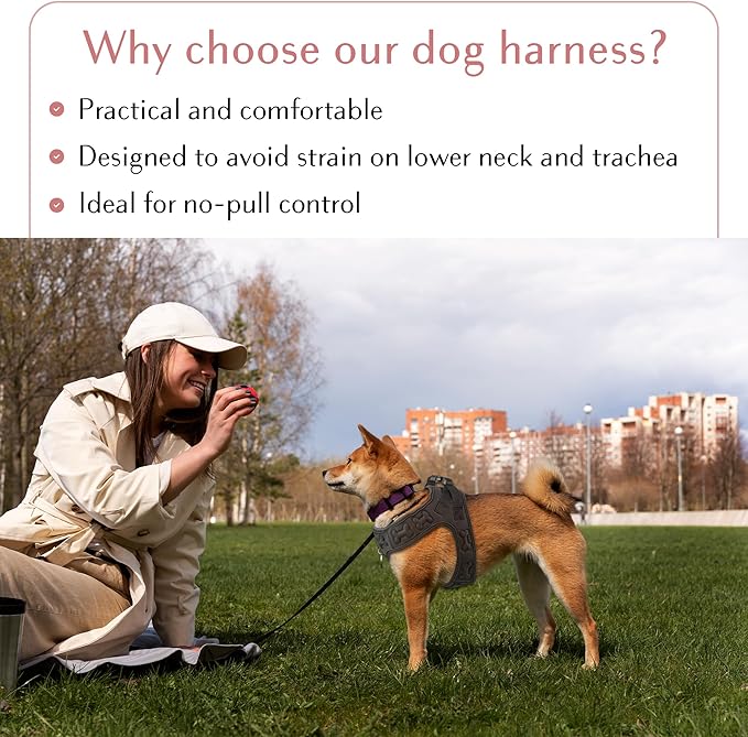 Comfort fit Step-in Dog & Puppy Harness - Comfortable All Weather Dog Vest Harness: Adjustable, Soft Padded, Easy to Put-on for Small, Medium-Sized Dogs.