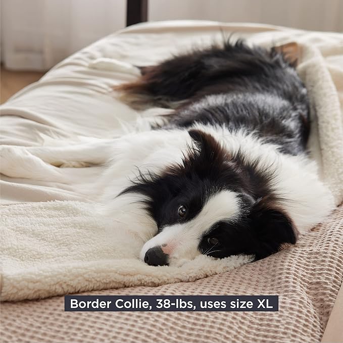 Bedsure Cat Blanket for Indoor Cats - Waterproof Calming Cat Blankets for Couch Bed Protection, Sherpa Fleece Pet Blanket, Soft Plush Reversible Throw Furniture Protector, 60"x50", Cream