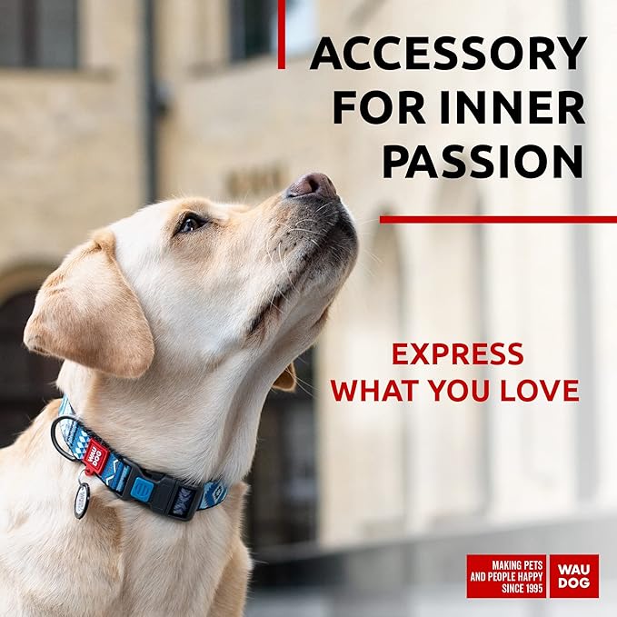 WAUDOG Nylon Dog Collar - Adjustable Dog Collar for Large Dogs, Small & Medium Dogs - Breakaway Puppy Collars for Large Breed Dogs - Boy & Girl Dog Collars with Durable Plastic Buckle and QR Dog Tag