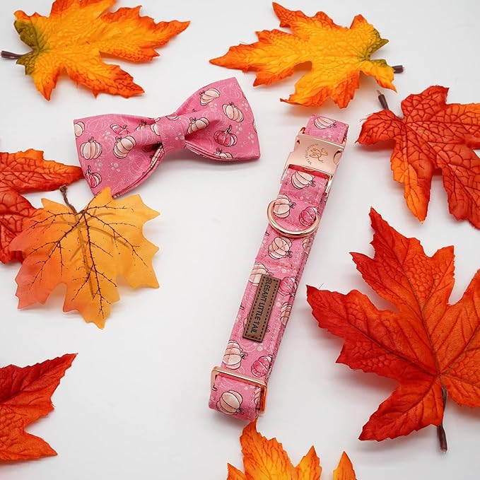 Elegant Little Tail Dog Collar with Bow, Adjustable Halloween Pumpkin Bowtie Pet Gift Collar for Small to Large Dogs