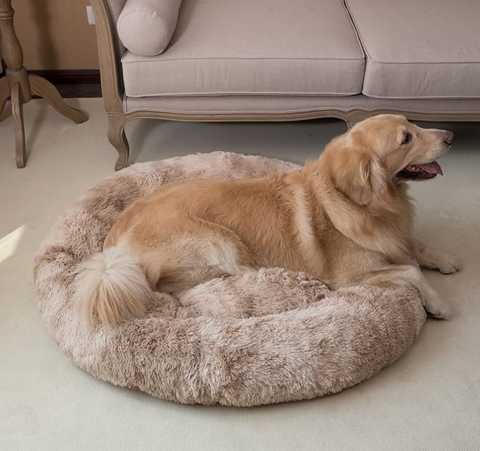 Coohom Oval Calming Donut Cuddler Dog Bed,Shag Faux Fur Cat Bed Washable Round Pillow Pet Bed(30"/36") for Small Medium Dogs (XXL(43"x34"x8"), Beige2021)