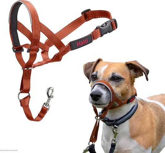 HALTI Headcollar - to Stop Your Dog Pulling on The Leash. Adjustable, Reflective and Lightweight, with Padded Nose Band. Dog Training Anti-Pull Collar for Small Dogs (Size 1, Burnt Orange)