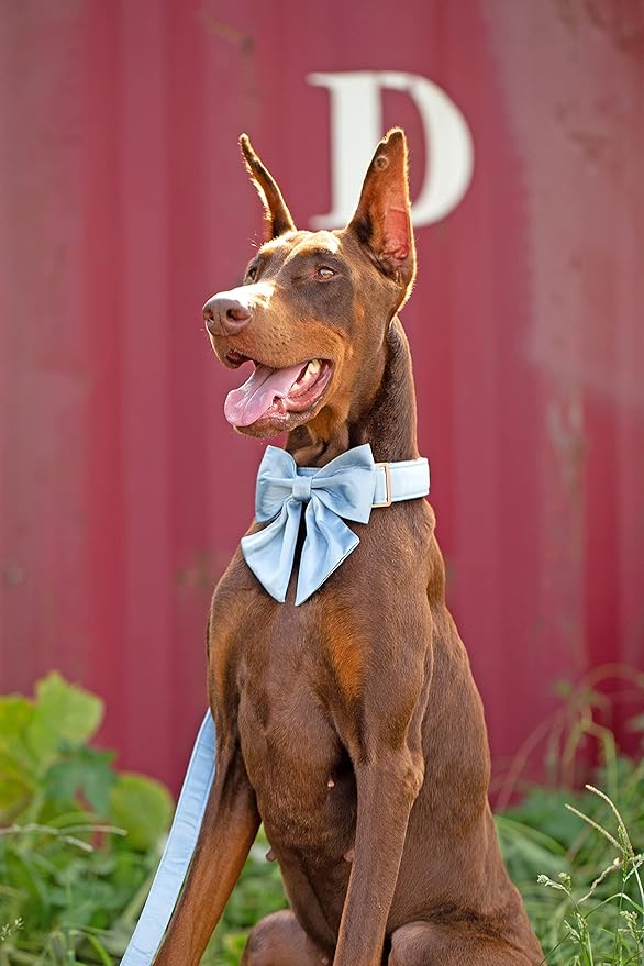 Unique style paws Silk Blue Color Dog Collar Adjustable Durable Dog Collar with Bow Wedding Bowtie Collar for Medium Dogs